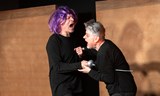 Souborné dílo Williama Shakespeara (zkrácená verze)
