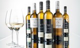 Degustace vín z Vinařství Volařík