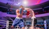 Spider Fight Night 5