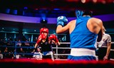 Spider Fight Night 5