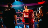 Spider Fight Night 5