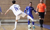 SK Amor Vyškov : Jungheinrich Baník Chomutov