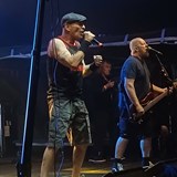 Punk & Oi Advent 2026  Cockney Rejectsts