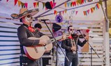 Día De Los Muertos na Panelce 2026