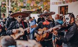 Día De Los Muertos na Panelce 2026