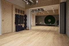 Fusion Yoga Studio, Dolní Břežany