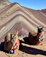 Jižní Amerika - Chile, Argentina, Bolívie, Peru