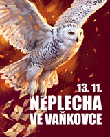 Neplecha ve Vaňkovce
