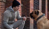 Já, Rocky