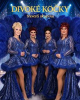 Travesti show Divoké kočky
