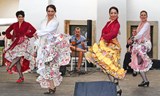 Etno Brno 2026 – Día del Flamenco