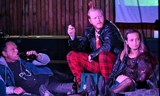 Harila aneb Čtyři z punku a pes