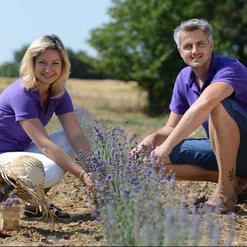 Levandulový statek Bezděkov