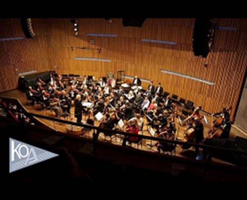 Komorní orchestr Akademie Praha, z.s.