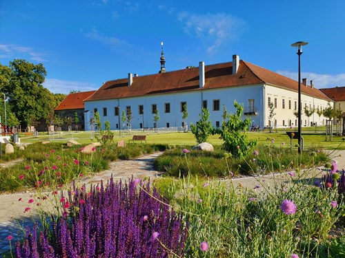 Město Oslavany