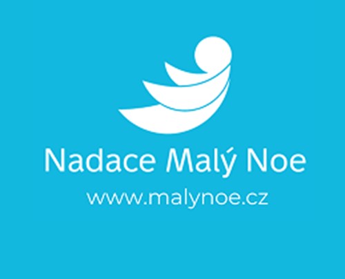 Nadace Malý Noe