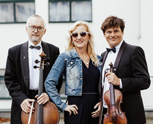 Moravské klavírní trio, z.s.