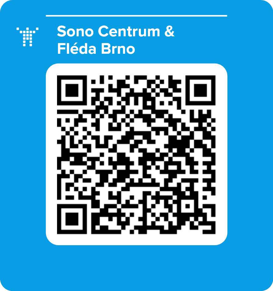 Sono Centrum & Fléda Brno