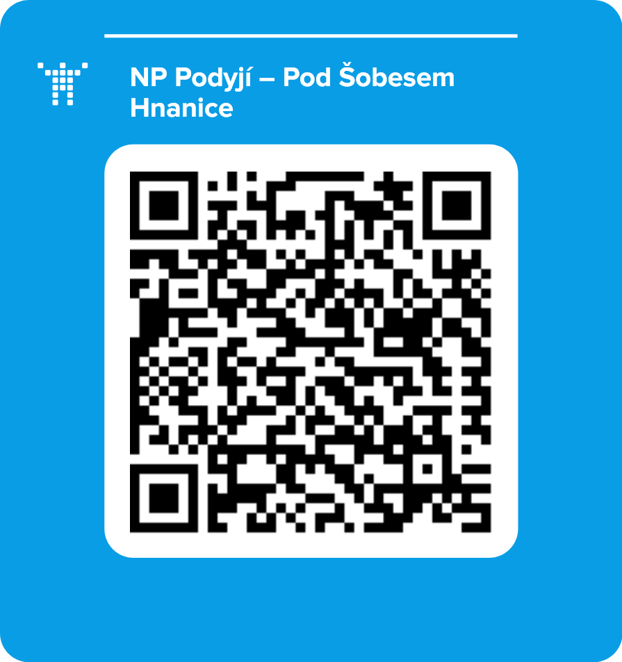 NP Podyjí – Pod Šobesem Hnanice