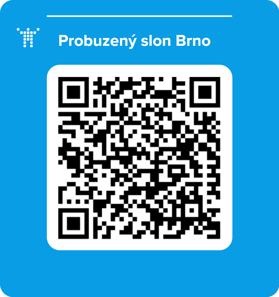 Probuzený slon Brno