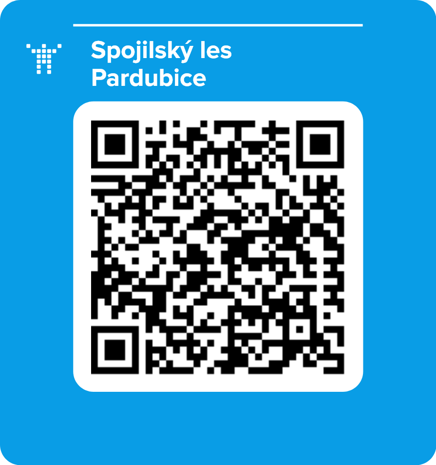 Spojilský les Pardubice