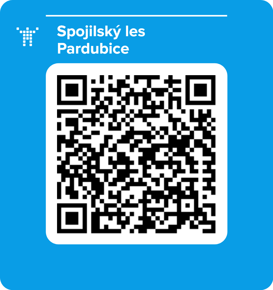 Spojilský les Pardubice