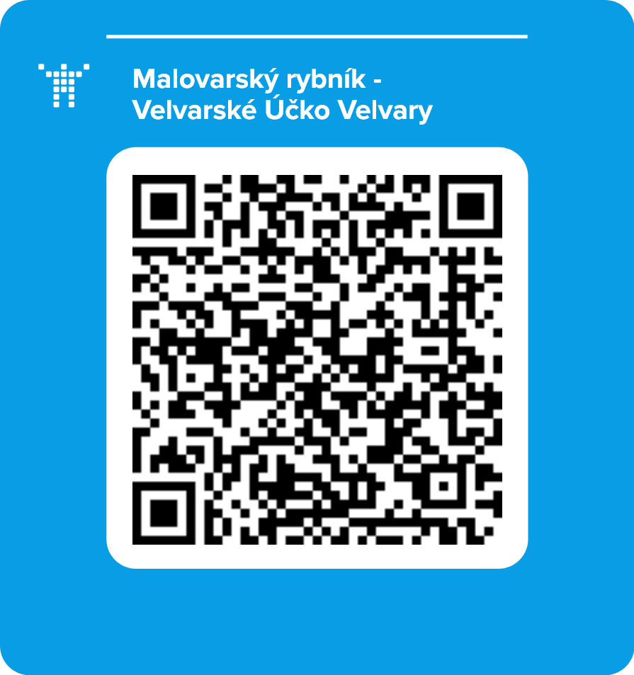 Malovarský rybník - Velvarské Účko Velvary