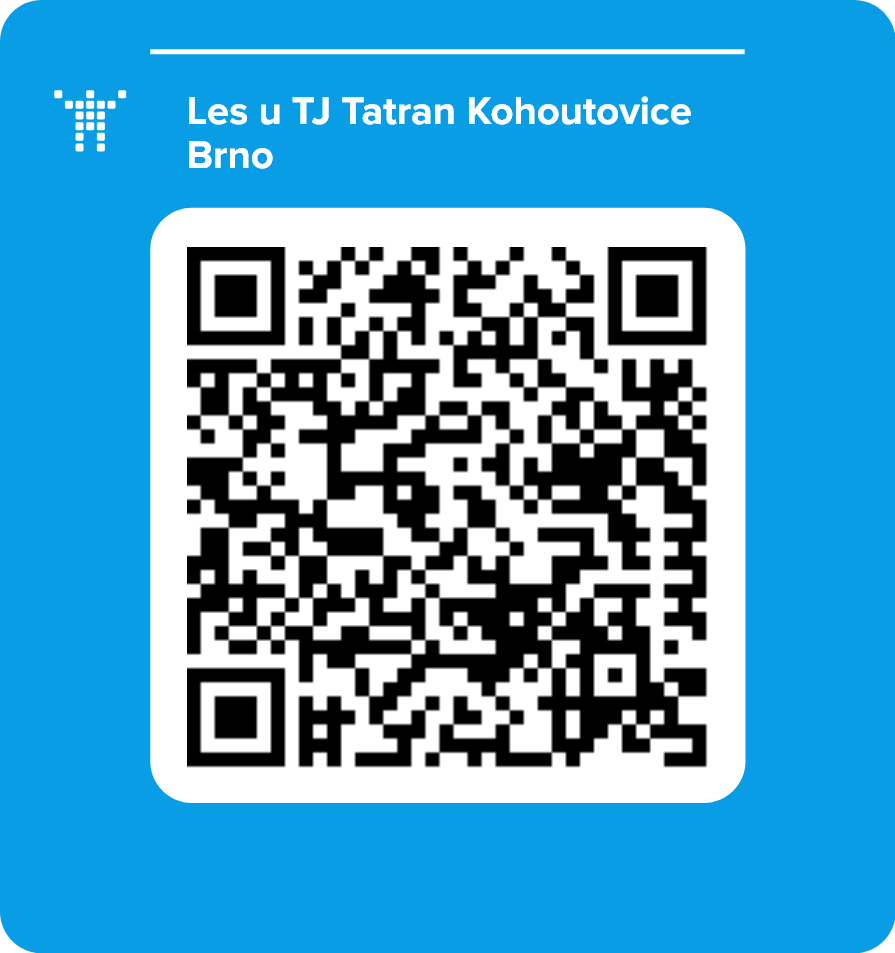 Les u TJ Tatran Kohoutovice Brno