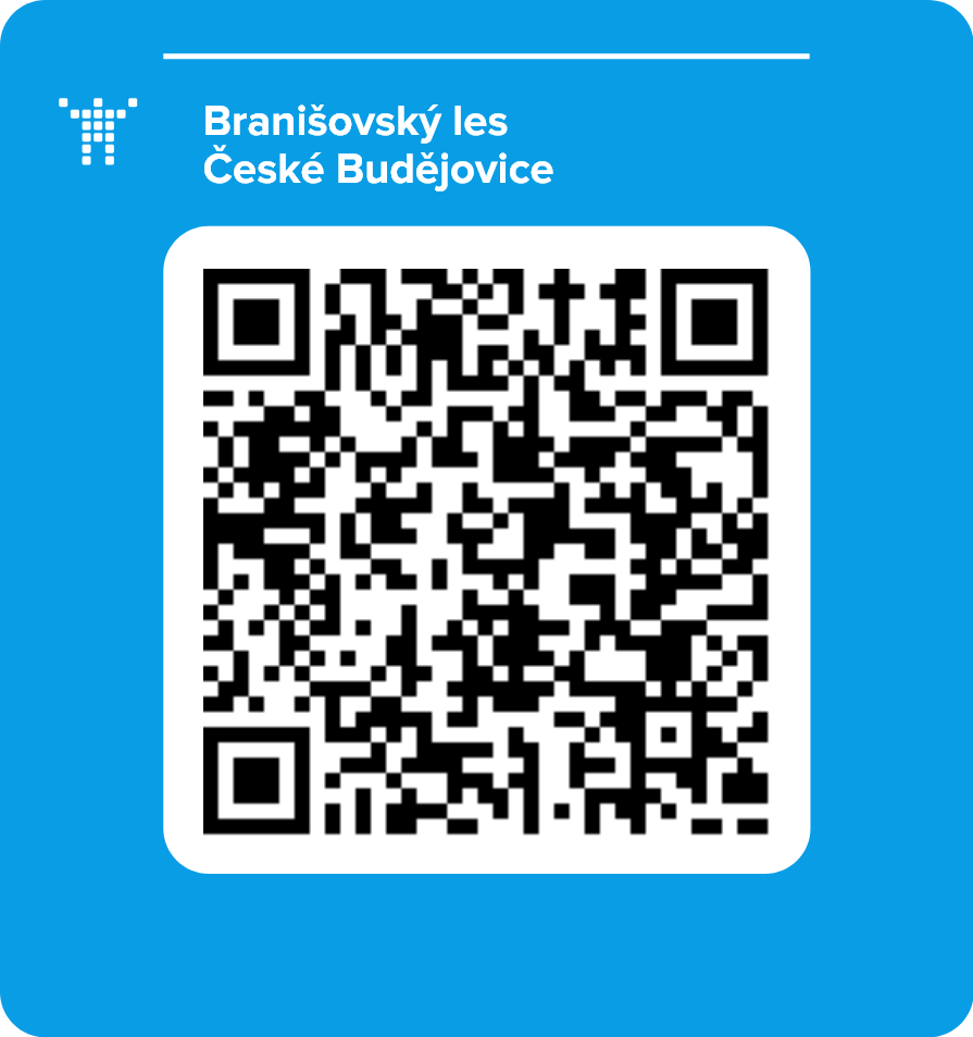 Branišovský les České Budějovice