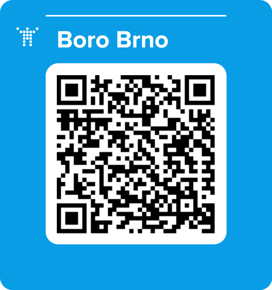 Boro Brno