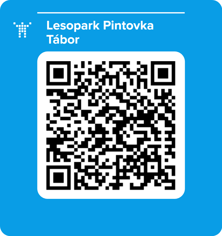 Lesopark Pintovka Tábor