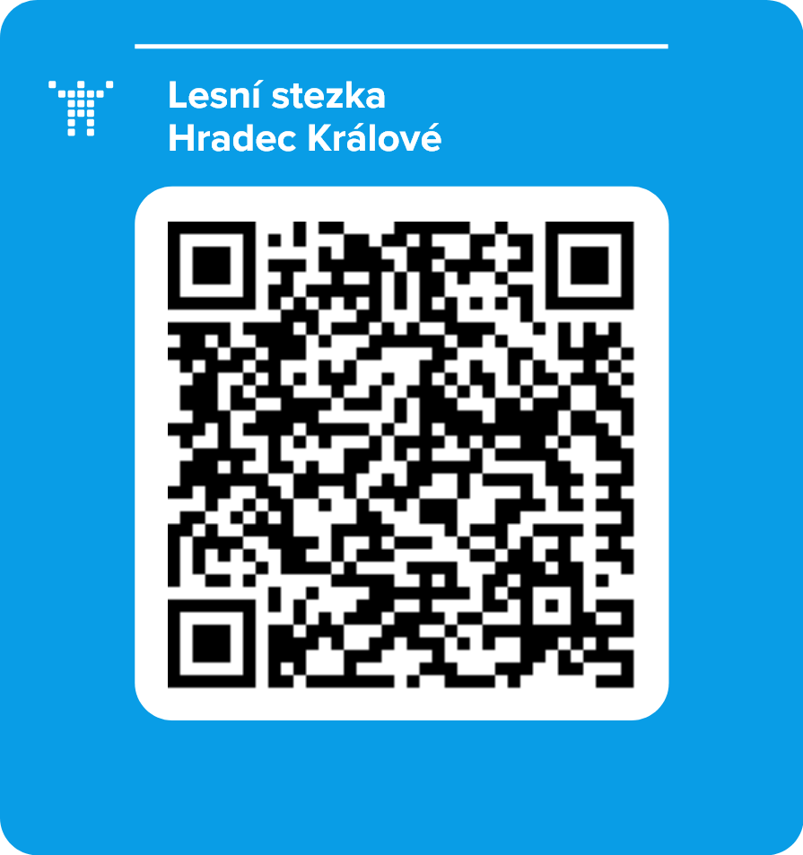 Lesní stezka Hradec Králové