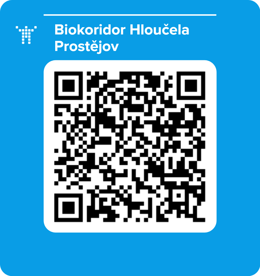 Biokoridor Hloučela Prostějov