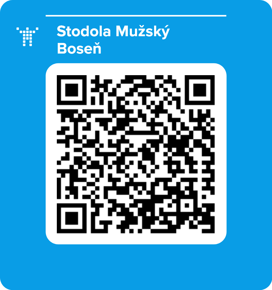 Stodola Mužský Boseň
