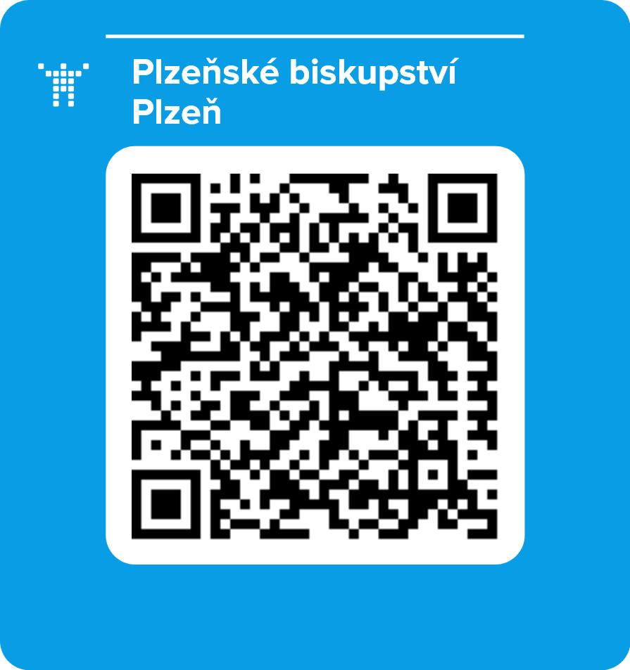 Plzeňské biskupství Plzeň